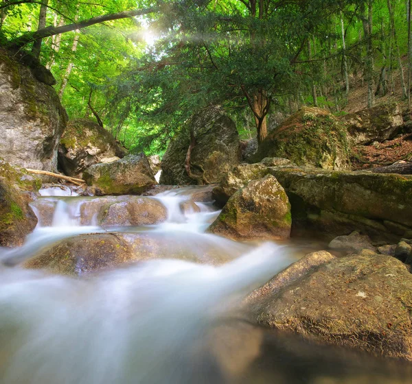 春季细沟流 性质组成 — 图库照片