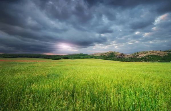 Grüne Wiese Gebirge Und Schwere Regenwolken Zusammensetzung Der Natur — Stockfoto