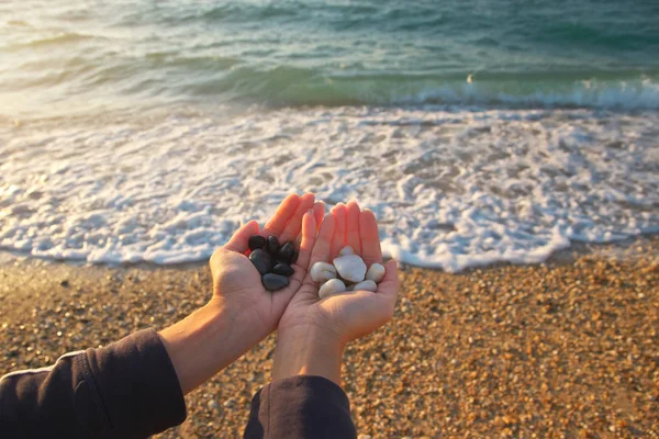 Stones white and black in woman hands on the sea shore. Nature conceptual scene.