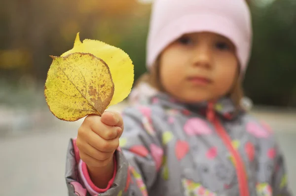 Young Kid Holding Orange Leaf Hand Autumn Park Child Autumn — Stock Photo, Image