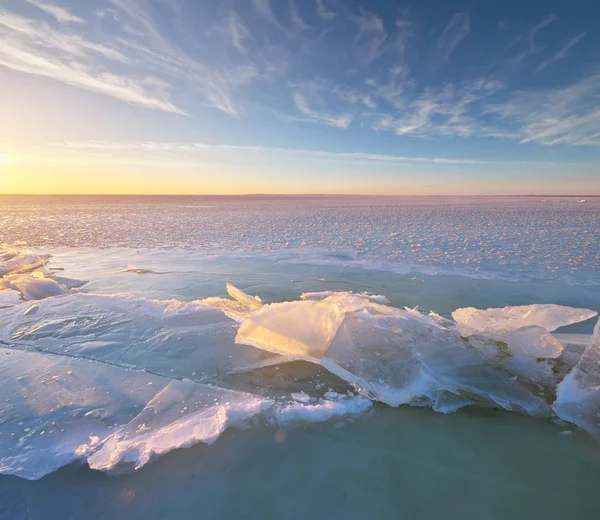 Paesaggio Invernale Composizione Della Natura — Foto Stock