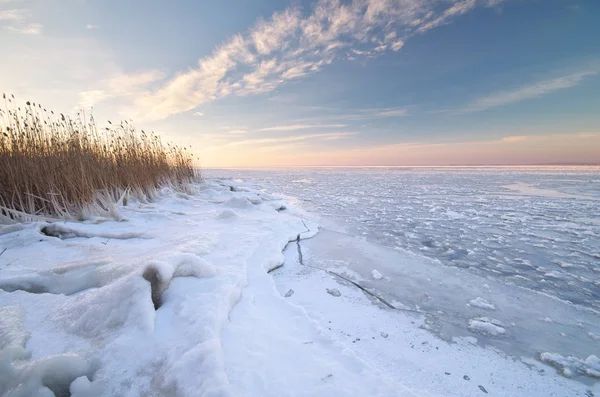 Paysage Hivernal Composition Nature — Photo