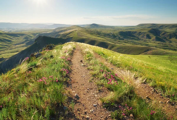 Weg Den Berg Zusammensetzung Der Natur — Stockfoto