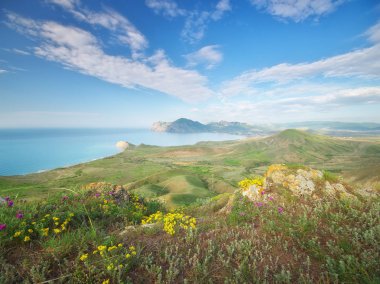 Deniz bahar bay. Doğa manzara kompozisyon.