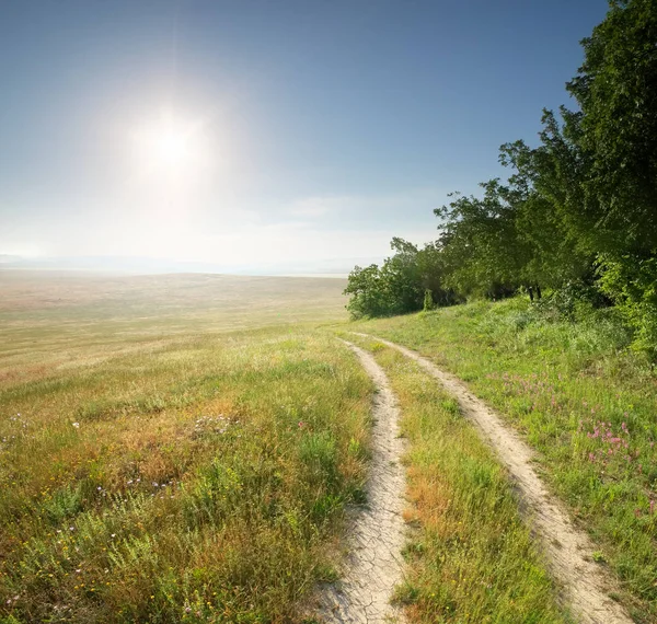 Voie Dans Prairie Ciel Bleu Profond Composition Panorama Nature — Photo