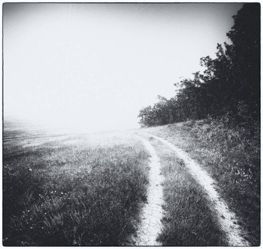 Lane çayır ve derin mavi gökyüzü. 