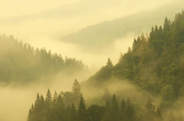 Mountain aerial morning landscape. — Stock Photo, Image