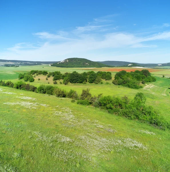 Frühlingswiesen-Panorama. — Stockfoto