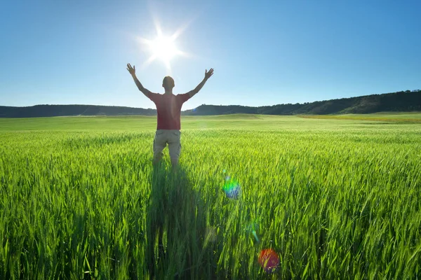 緑の草原と太陽の光の男. — ストック写真
