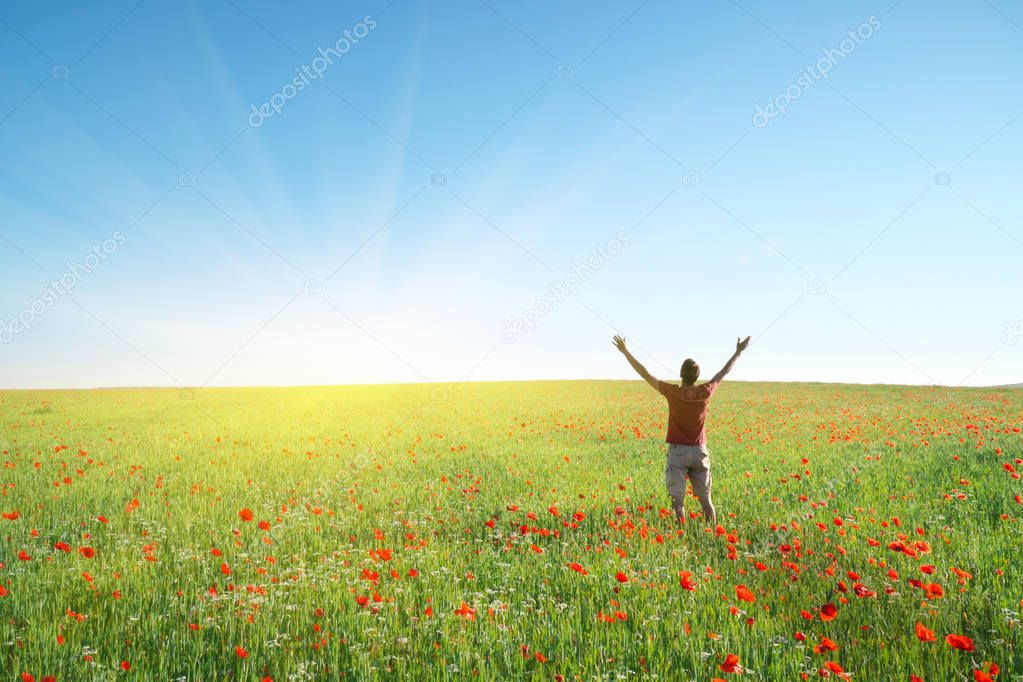 Man in spring meadow of poppy 