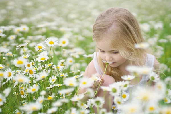 Cute little girl in big camomile meadow. — Stock Photo, Image