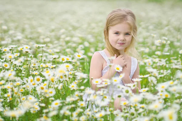 Cute little girl in big camomile meadow — Stock Photo, Image
