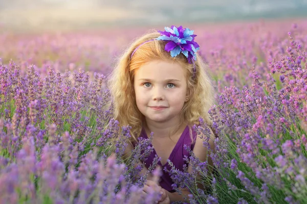 Menina bonito sentado no prado lavanda — Fotografia de Stock