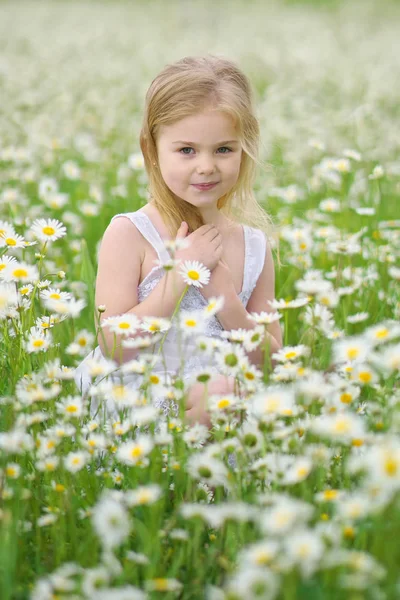 カモミール牧草地の小さな女の子. — ストック写真