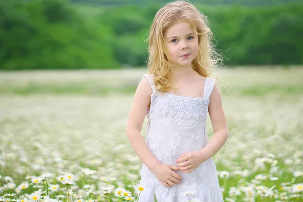 Маленька дівчинка на ромашковому лузі . — стокове фото
