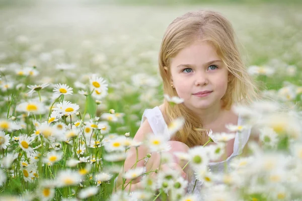 Cute little girl in big camomile meadow. — Stock Photo, Image