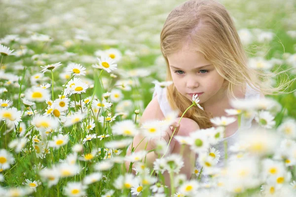 Cute little girl in big camomile meadow. Royalty Free Stock Images