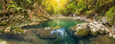 Ormandaki gölün manzarası. 