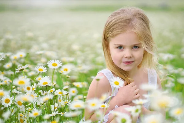 大きなカモミール牧草地でかわいい女の子. — ストック写真