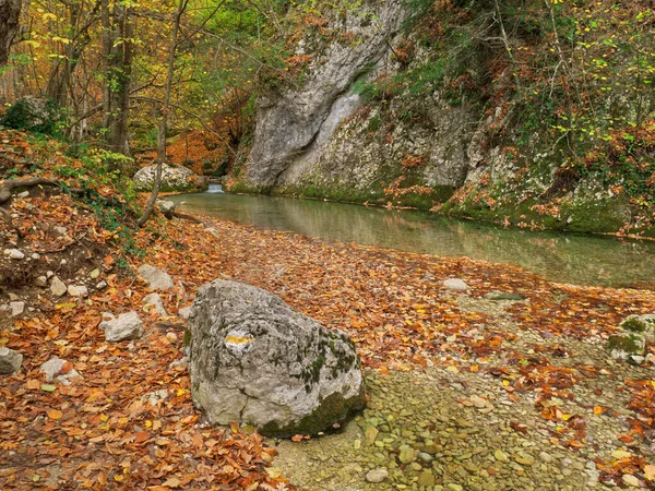 Autumn in forest and river flow. — Stock Photo, Image