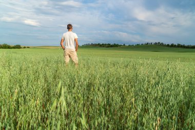 Çayırdaki adam yeşil yulaf çayırında.