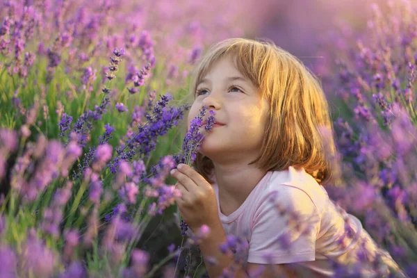 Linda Menina Sentada Prado Lavanda Retrato Composição Natureza — Fotografia de Stock