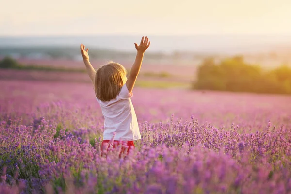 小さな女の子はラベンダーの牧草地で自然を楽しむ 感情的かつ概念的なシーン — ストック写真