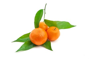 Mandalinalı. Tasarım elementi.