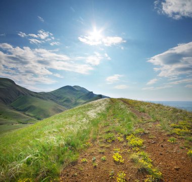 Doğa bileşimi. Güneşe giden yolda.
