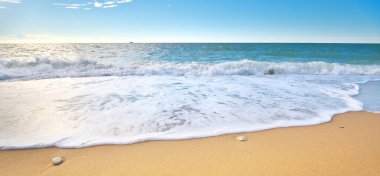 Gündüzleri deniz ve kum. Doğa bileşimi.