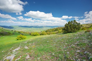 Dağ çayırı ve vadi. Güzel bahar doğası kompozisyonu.