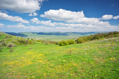 Dağ çayırı ve sarı çiçek. Güzel bahar doğası kompozisyonu.
