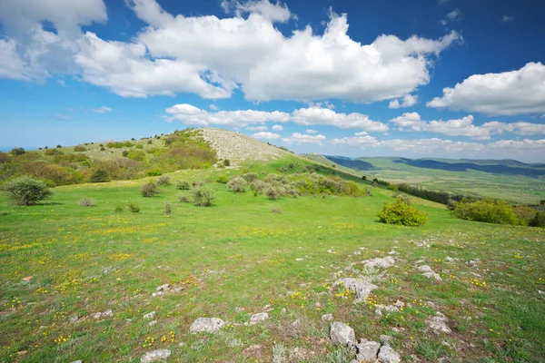 Dağ çayırı ve vadi. Güzel bahar doğası kompozisyonu.