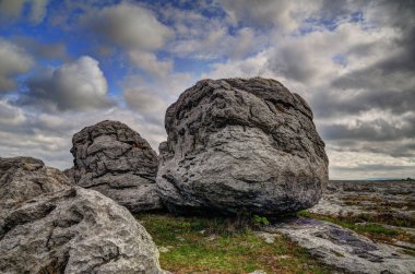 Ejderha başlı. Burren karst-yatay bölge veya alvar Kuzeybatı County Clare, İrlanda'da var. Kayalar.