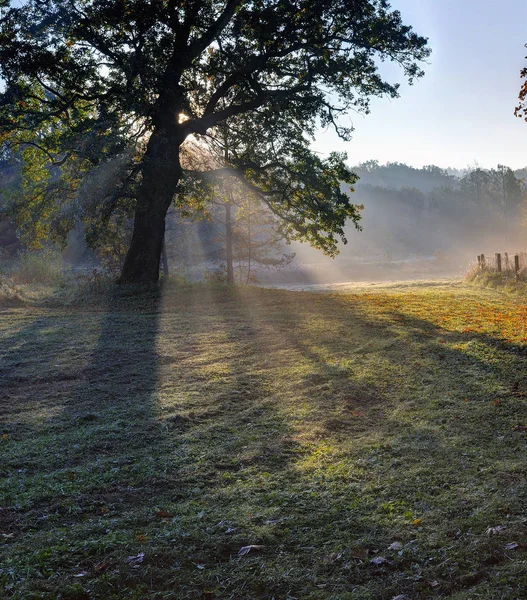 Puckoriu 認知歴史的経路近く秋の朝 — ストック写真