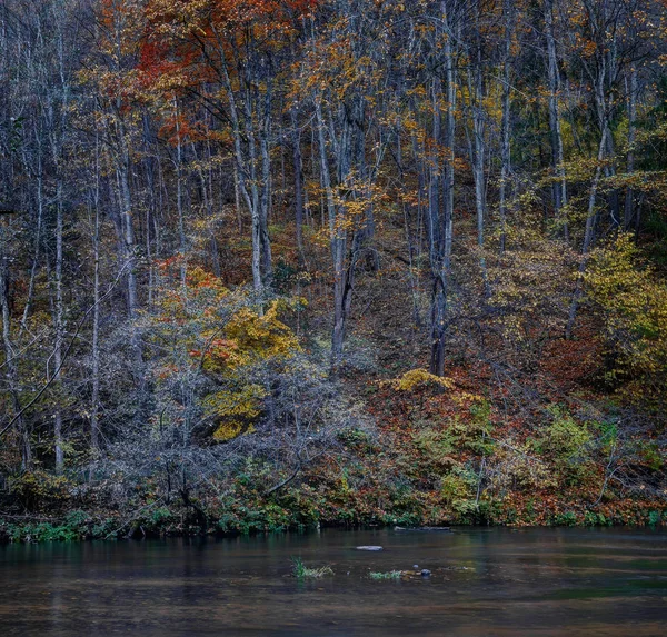 Reserva Paisaje Puchkoriai Otoño Dorado Cerca Del Río Vilnia —  Fotos de Stock