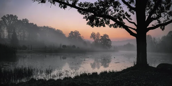 Wschód Słońca Nad Spokojną Staw Zimny Poranek Października Mgła — Zdjęcie stockowe