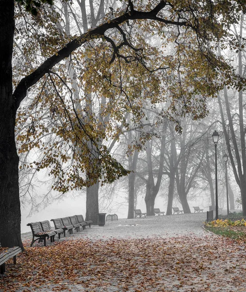 伯娜丁花园 Vilnia 维尔纽斯 立陶宛 黄金秋季时间 清晨薄雾 — 图库照片