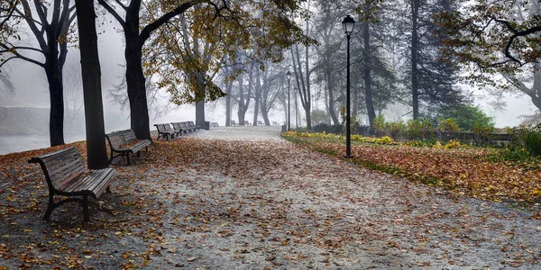 Bernardine Garden Vilnia River Vilnius Litauen Goldene Herbstzeit Frühmorgendlicher Nebel — Stockfoto