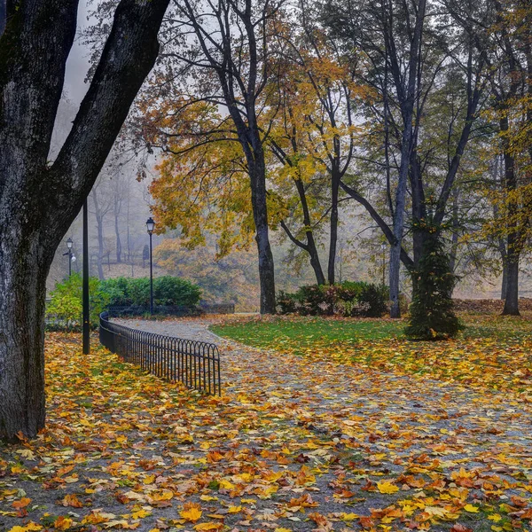 Bernardine Trädgårdar Vilnius Litauen Guld Höstens Tid Tidiga Morgondimman — Stockfoto