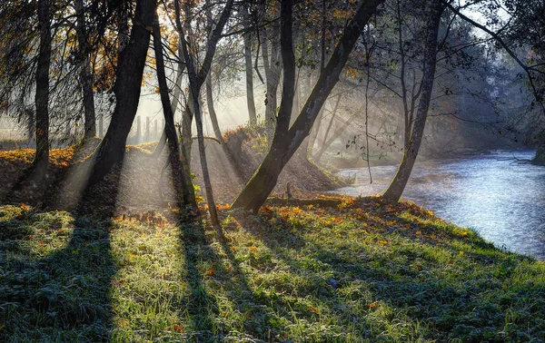 Matin Automne Près Rivière Vilnele Tôt Matin Automne Près Puckoriu — Photo