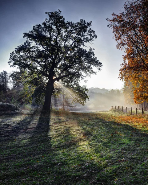 Herbstmorgen Der Nähe Von Vilnele River Früher Herbstmorgen Puckoriu Kognitiv — Stockfoto