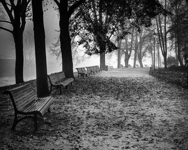 Sonbahar Nostalji Bernardine Bahçeleri Vilnia Nehir Vilnius Litvanya Erken Sabah — Stok fotoğraf