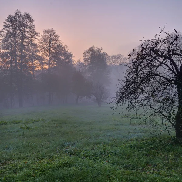 Lever Soleil Près Vilnia Brouillard Froid Matin Octobre — Photo