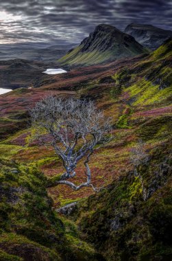 Quiraing: erken Ekim sabah. Trotternish Yarımadası, Isle of Skye, INNER Hebrides, İskoçya, Birleşik Krallık, Europe'nın kuzeydoğu kıyısı.