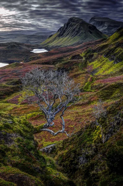 Quiraing Early October Morning Inglês Costa Nordeste Península Trotternish Ilha — Fotografia de Stock