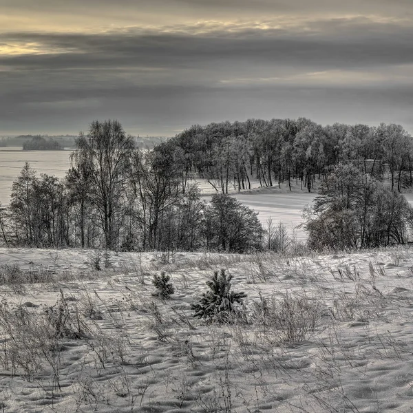 Vintern låg färg — Stockfoto