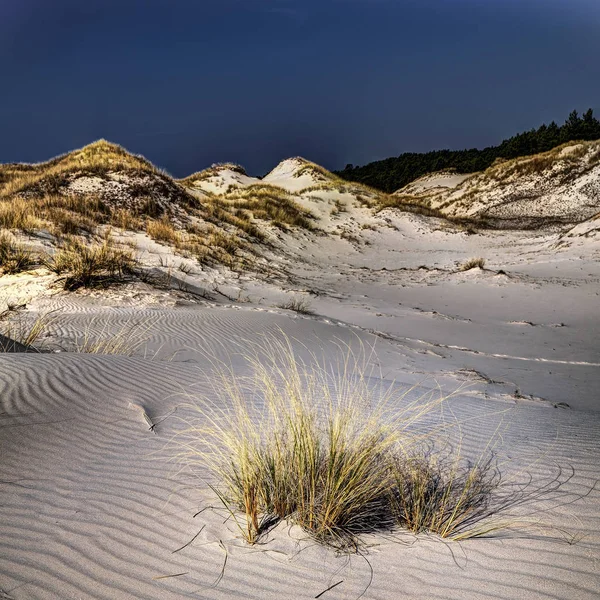 移動する砂丘 — ストック写真