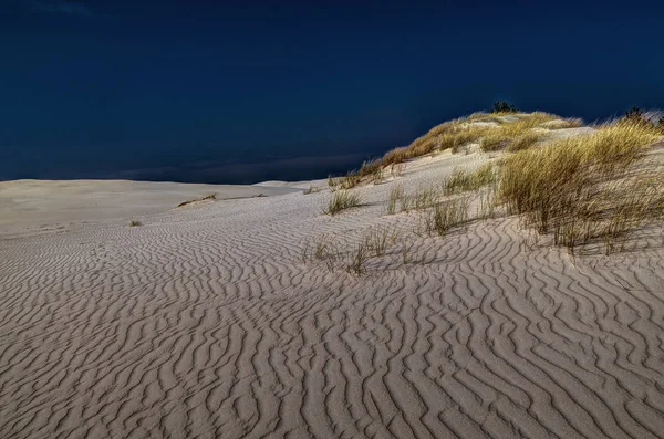 Rörliga sanddyner i Polen Royaltyfria Stockbilder