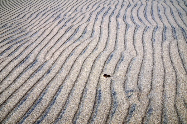 Sanddynernas struktur — Stockfoto